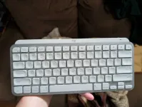 بدون علامة طازج قبعة