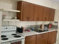 رائع مطاط بيتزا